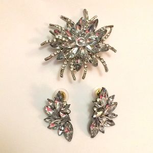 Brooch and earrings set